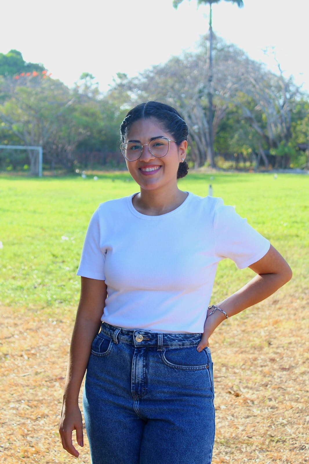 Uma breve descrição da imagem