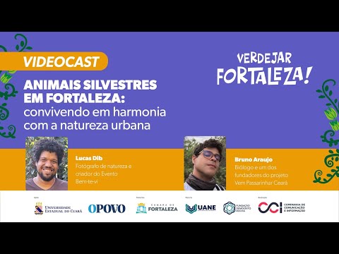 Animais silvestres em Fortaleza: convivendo em harmonia com a natureza urbana