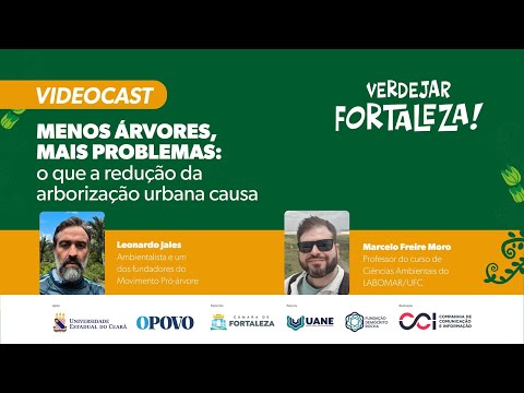 Verdejar - Menos árvores, mais problemas: o que a redução da arborização urbana causa